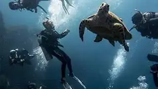 SSI Open Water & Advanced Course Combo