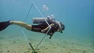 Scuba Refresher