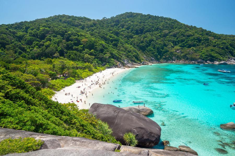 Similan 2D1N Liveaboard — Diving (4 dives incl. night dive)