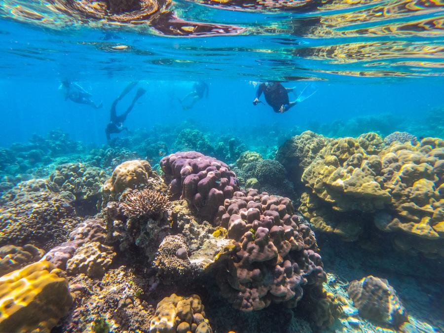 Surin Islands 2D1N — Beach Tent Stay